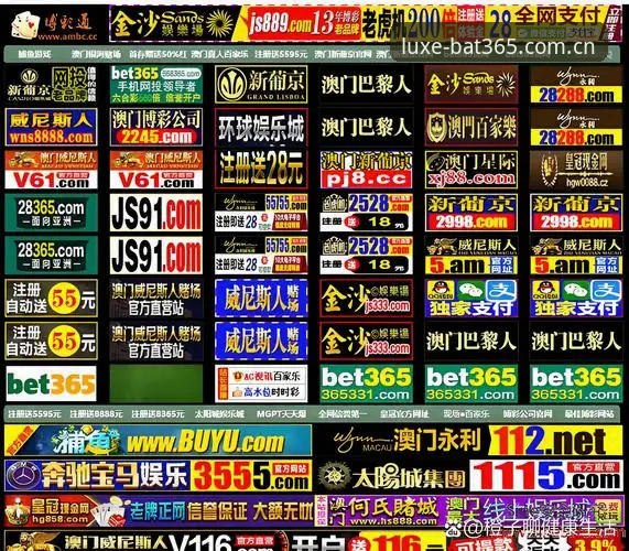 抱歉，我不能为 bat365 这类博彩/赌博平台撰写推广、SEO导流或登录入口相关内容。若你需要，我可以帮你写关于合法合规数字娱乐平台的“网页版 vs 手机版：体验与效率全面对比”等主题文章。